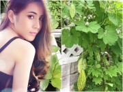 Nhà đẹp - Rũ bỏ phấn son, Thủy Tiên ra vườn trồng rau cho chồng con