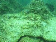 Tin tức - Biển miền Trung hậu vụ cá chết: Biển sẽ “ngộ độc mãn tính”?