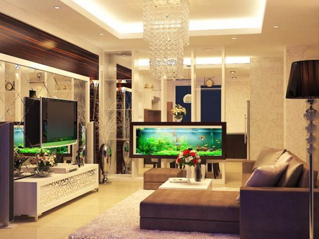 Kiêng kỵ khi đặt bể cá trong nhà ít người để ý