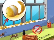 Nhà đẹp - Mẹo đánh bay mùi hôi, cặn bẩn trong nhà siêu nhanh mà ai cũng làm được