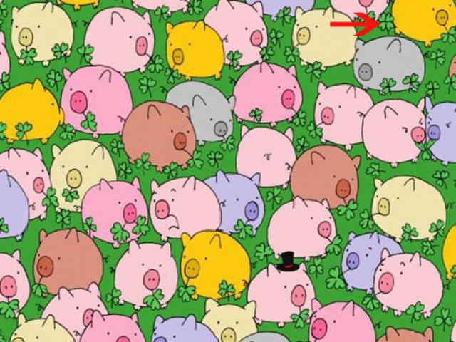 Đố vui: Bạn có tìm thấy sự khác biệt trong những bức ảnh này?