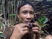 Clip Eva - Video: Theo chân "Tarzan Việt Nam" trở về rừng xanh