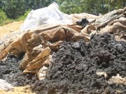 Tin tức - Vụ chôn lấp bùn thải: Formosa thừa nhận sai phạm