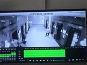 Tin tức - Hà Nội: Cô gái trẻ bị xịt hơi cay, cướp tài sản trong thang máy