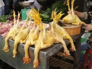 Mua sắm - Giá cả - Liên tục phát hiện sữa, bột bắp, thịt gà… chứa đầy hóa chất