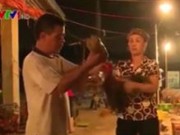 Clip Eva - Video: Công nghệ giúp gà tăng cân "phi mã" trước khi bán