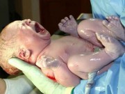 Bà bầu - Tiết lộ thú vị về 60 giây đầu tiên của em bé khi vừa chào đời