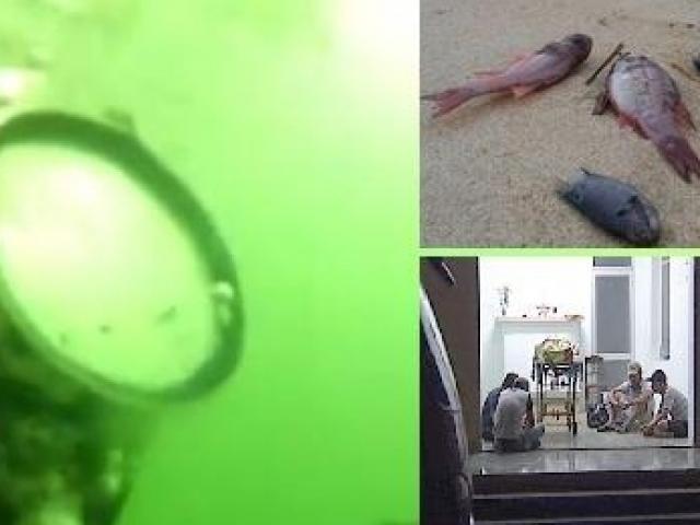 Hé lộ nguyên nhân thợ lặn Formosa tử vong