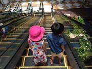 Yêu con - 3 sai lầm "đơn giản đến khó tin" lại khiến trẻ bị thang cuốn lấy mạng