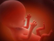 Bà bầu - Những triệu chứng báo thai nhi đang gặp nguy hiểm mẹ cần lưu ý