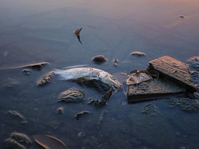 Hà Tĩnh và Formosa thống nhất phương án xả thải ra sao?