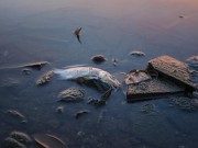 Tin tức - Hà Tĩnh và Formosa thống nhất phương án xả thải ra sao?