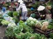 Tiêu dùng - Hải sản đứng đầu bảng về chứa chất cấm, kháng sinh