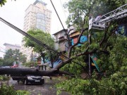 Tin tức - Chùm ảnh: Hà Nội tan hoang, đổ nát sau trận mưa bão sáng nay