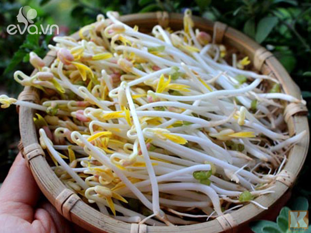 Làm giá đỗ bằng chõ đất, chỉ hơn hai ngày là thu hoạch