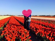 Làng sao - Tùng Dương gửi lời "đường mật" chúc mừng sinh nhật vợ yêu