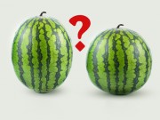 Bếp Eva - Cách chọn dưa hấu ngon, ngọt hoàn hảo