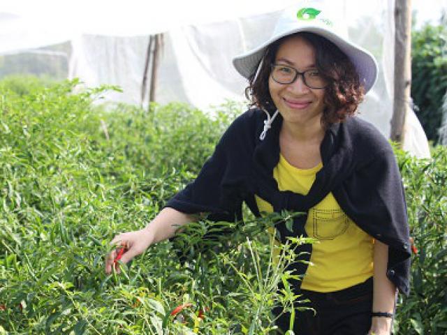 Từng chấp nhận lỗ để kinh doanh rau hữu cơ vì sợ bà bầu ăn phải rau bẩn