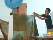 Tin tức - Cha mẹ đi làm về phát hiện 2 con chết đuối dưới ao