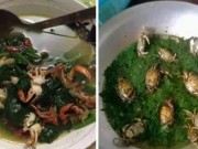 Eva Yêu - Hết nhổ trụi đầu vịt đến bát canh cua ra mắt nhà chồng khiến dân mạng bấn loạn