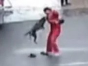 Tin tức - Kinh hoàng chó dữ nổi điên tấn công 20 người trên đường phố Trung Quốc