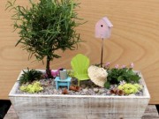 Nhà đẹp - Nhà nhỏ vẫn tha hồ biến hóa với chậu cây 'cổ tích'