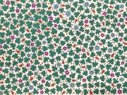 Eva tám - Đố các bạn tìm thấy cỏ bốn lá trong bức hình này?