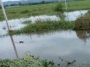 Tin tức - Rơi xuống cầu không có lan can, mẹ chết đuối, con được cứu sống