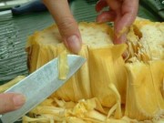 Mua sắm - Giá cả - Nếu tinh ý, bạn vẫn tìm được mít sạch, giá rẻ ở chợ