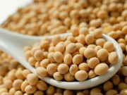 Sức khỏe - Giảm nguy cơ mắc bệnh tim mạch nhờ dinh dưỡng đậu nành