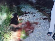 Tin tức - Thuê người chặt tay chân: Vụ việc chưa từng có ở Việt Nam