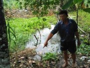 Tin tức - Chủ vựa trái cây lấy tiền cho gái rồi tung tin bị cướp