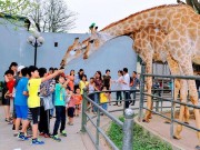 Xem & Đọc - Quốc Khánh 2/9: Những địa điểm vui chơi hấp dẫn cho các bé ở Hà Nội