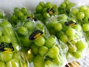 Bếp Eva - Nho Nhật tiền triệu được giới nhà giàu lùng mua