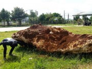 Ngày mới - Bắt giữ tảng đá quý nặng hơn 20 tấn