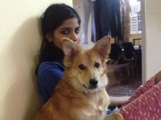 Tin tức - Cô gái từ chối lời cầu hôn chỉ vì chồng sắp cưới... không thích chó