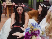 Tin tức - Chú chó gắng gượng tham gia đám cưới cô chủ trước khi qua đời khiến ai cũng rơi lệ