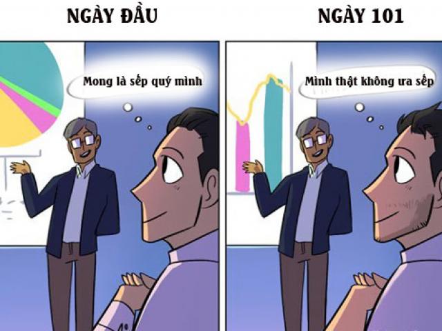 Thực tế phũ phàng chuyện ngày đầu đi làm và ngày thứ 101