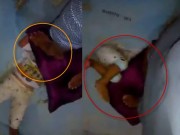 Clip Eva - Video: Phẫn nộ cảnh em bé bị giẫm đạp lên đầu một cách tàn nhẫn