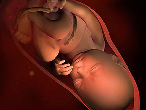 Thai nhi 39 tuần: Não bé tiếp tục phát triển