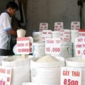 Mua sắm - Giá cả - Xuất khẩu gạo ưu đãi người ngoài?