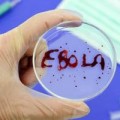 Tin tức - Khi xuất hiện người nhiễm Ebola, Việt Nam sẽ làm gì?