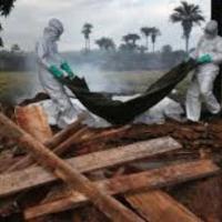 Đã có kết quả xét nghiệm của người nghi nhiễm Ebola ở Đà Nẵng