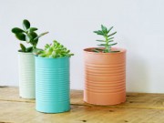 Nhà đẹp - Trồng cây tiết kiệm trong lon sữa bò