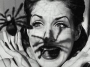 Nhà đẹp - 5 cách tự nhiên đuổi nhện ra khỏi nhà