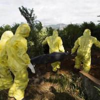 Mali: Một nam y tá tử vong do nhiễm Ebola