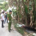 Tin tức - Phát hiện thi thể người cháy đen trong bụi chuối