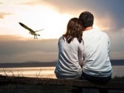 Eva tám - Vợ, anh yêu em nhiều hơn ngày mình yêu nhau