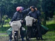 Eva tám - Cảm động tình yêu đôi vợ chồng đưa báo