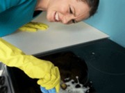 Nhà đẹp - Chị em khéo tẩy vết cháy trên mặt bếp hồng ngoại